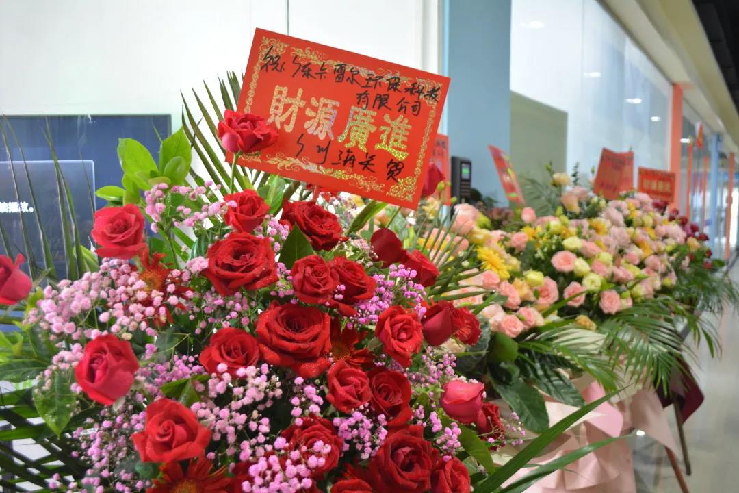 跑出世界速度，環(huán)保紙模先行者卡雷爾落地南沙
